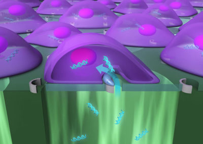 Biophotonic Laser Assisted Cell Surgery Tool